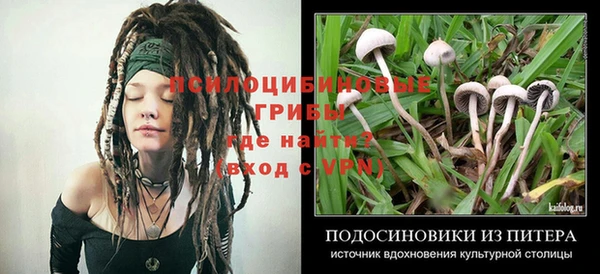 соль курить ск Абаза