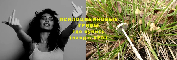 МДПВ Абинск