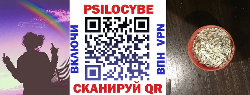 Псилоцибиновые грибы Psilocybe  Фокино 