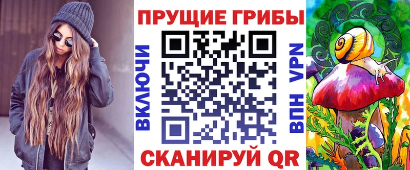 Псилоцибиновые грибы Cubensis Фокино