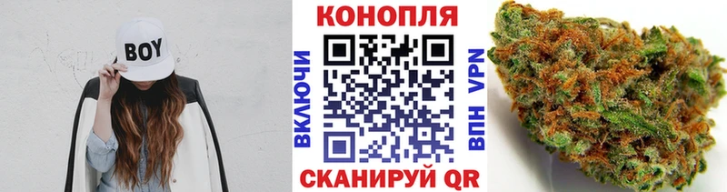 Бошки Шишки OG Kush  магазин продажи   Фокино 